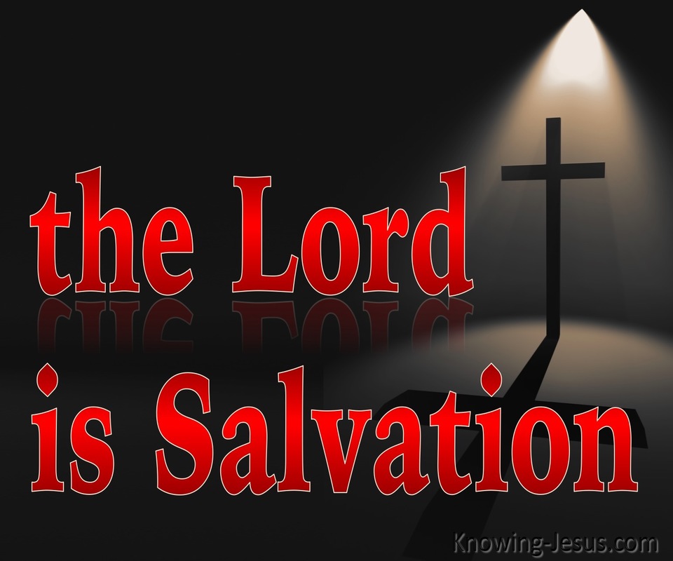 Psalm 3:8 The Lord Is Salvation (red)